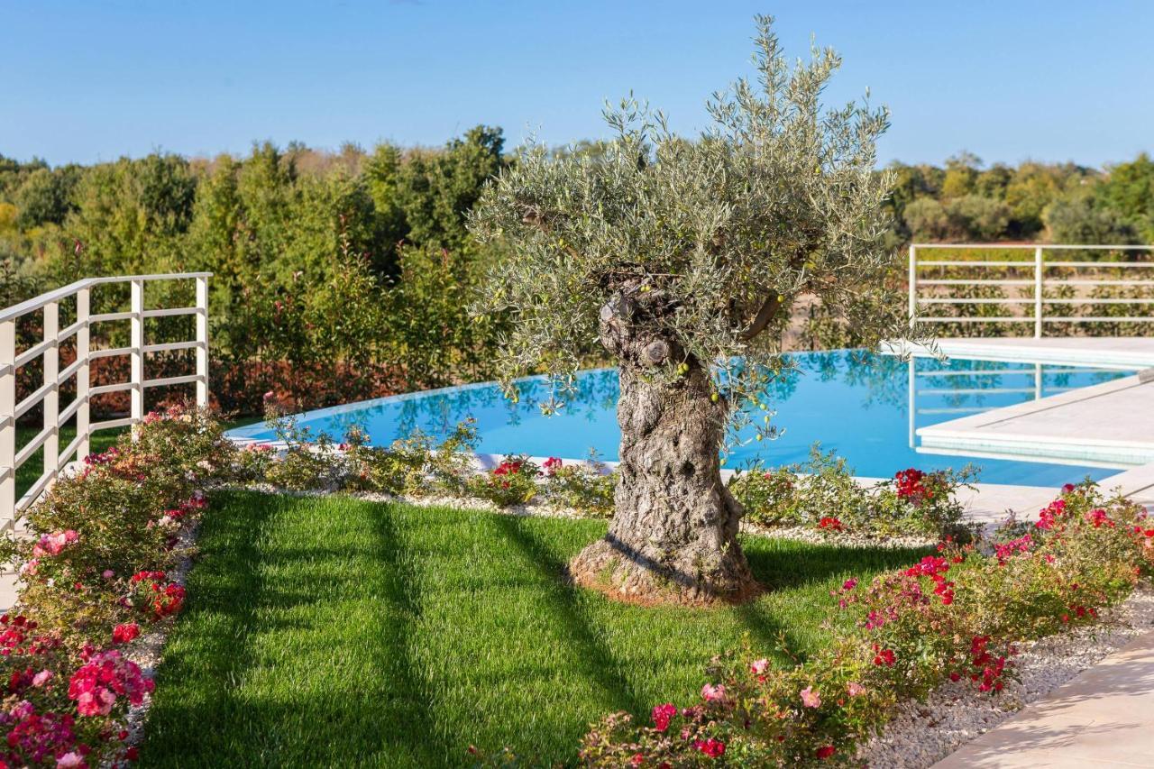 Villa Blanche By Ilc Brtonigla Kültér fotó